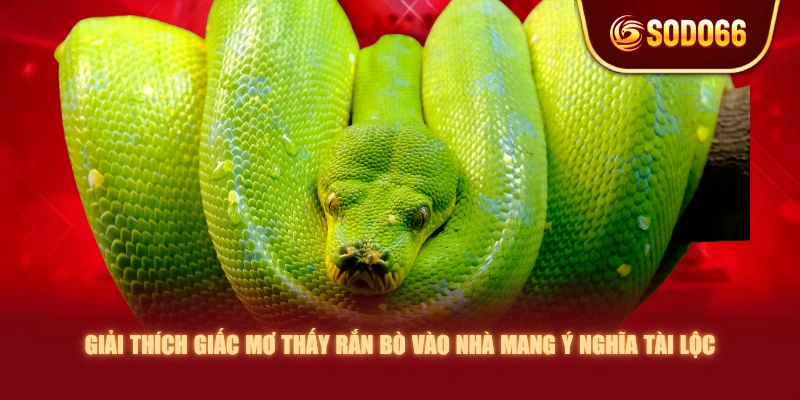 Giải thích giấc mơ thấy rắn bò vào nhà mang ý nghĩa tài lộc