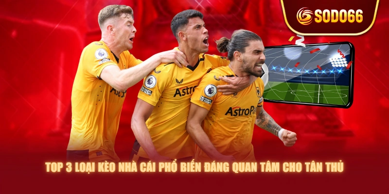 Top 3 Loại Kèo Nhà Cái Phổ Biến Đáng Quan Tâm Cho Tân Thủ